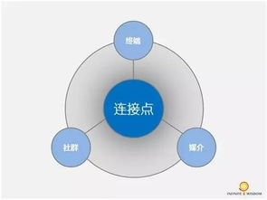 黄杨之韧 初创企业营销战略设计要点解析